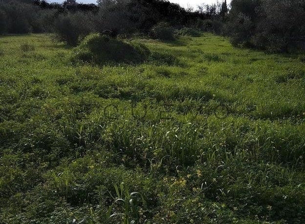 (For Sale) Land Plot || East Attica/Voula - 413 Sq.m, 620.000€ 