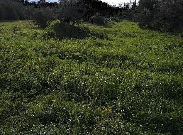 (For Sale) Land Plot || East Attica/Vari-Varkiza - 220 Sq.m, 250.000€ 