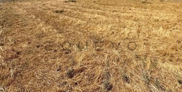 (For Sale) Land Plot || Athens South/Argyroupoli - 1.500 Sq.m, 3.000.000€ 
